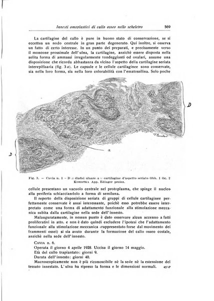 La chirurgia degli organi di movimento