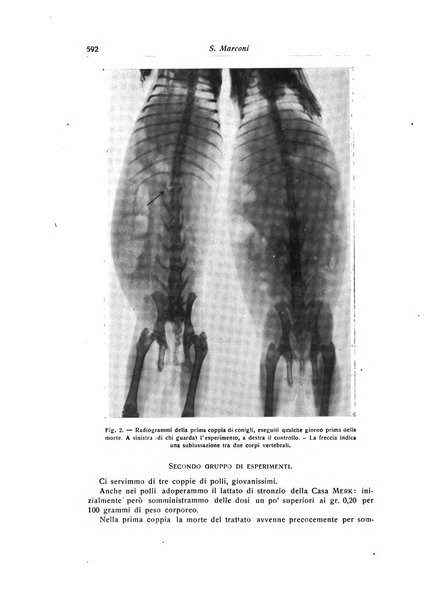 La chirurgia degli organi di movimento