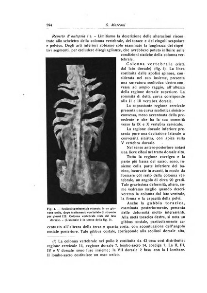 La chirurgia degli organi di movimento