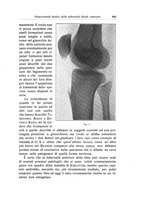 giornale/RML0015994/1928-1929/unico/00000633