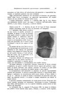 giornale/RML0015994/1928/unico/00000097