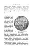 giornale/RML0015994/1928/unico/00000295