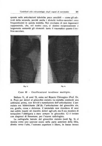 La chirurgia degli organi di movimento