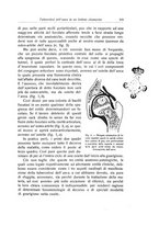 giornale/RML0015994/1928/unico/00000335