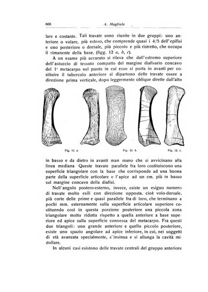 La chirurgia degli organi di movimento