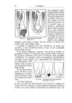 giornale/RML0015994/1929/unico/00000044