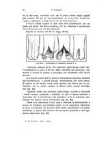 giornale/RML0015994/1929/unico/00000070