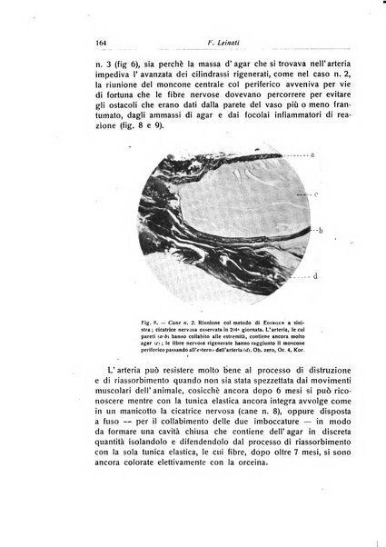 La chirurgia degli organi di movimento