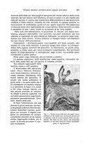 giornale/RML0015994/1929/unico/00000283