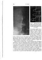 giornale/RML0015994/1929/unico/00000326