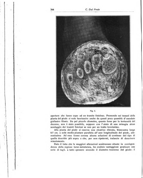 La chirurgia degli organi di movimento