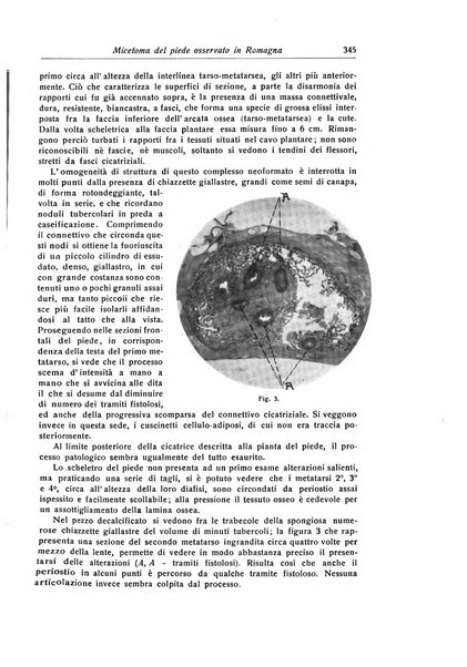 La chirurgia degli organi di movimento