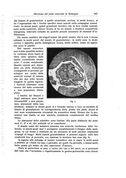 La chirurgia degli organi di movimento