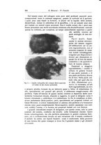 giornale/RML0015994/1929/unico/00000382