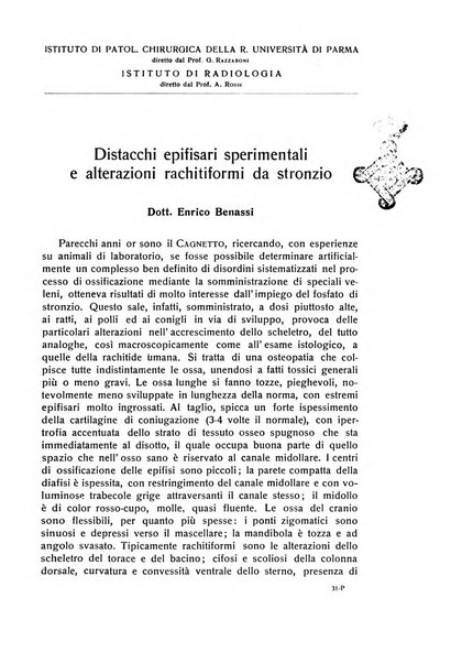 La chirurgia degli organi di movimento