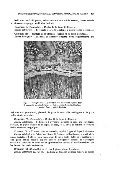 La chirurgia degli organi di movimento