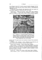 giornale/RML0015994/1929/unico/00000434