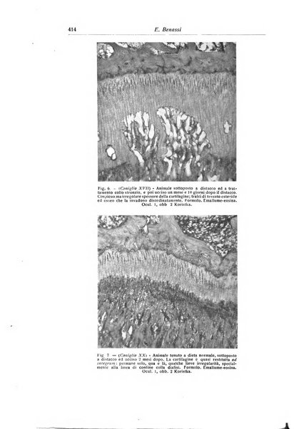 La chirurgia degli organi di movimento