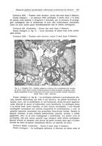 giornale/RML0015994/1929/unico/00000439