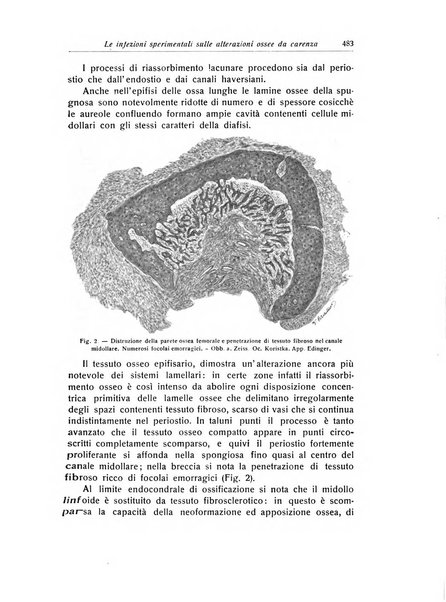 La chirurgia degli organi di movimento