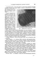 giornale/RML0015994/1929/unico/00000517