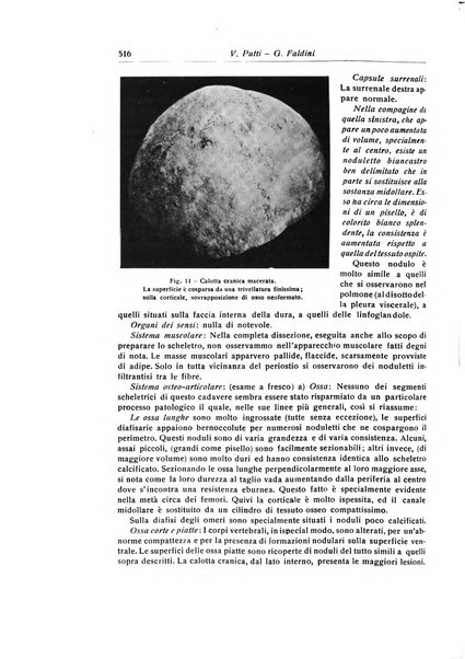 La chirurgia degli organi di movimento