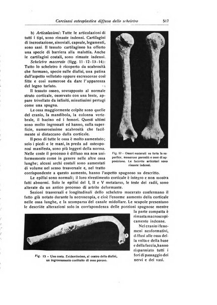 La chirurgia degli organi di movimento