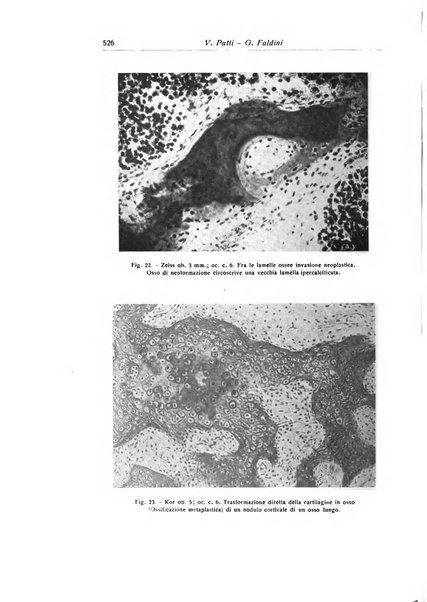 La chirurgia degli organi di movimento