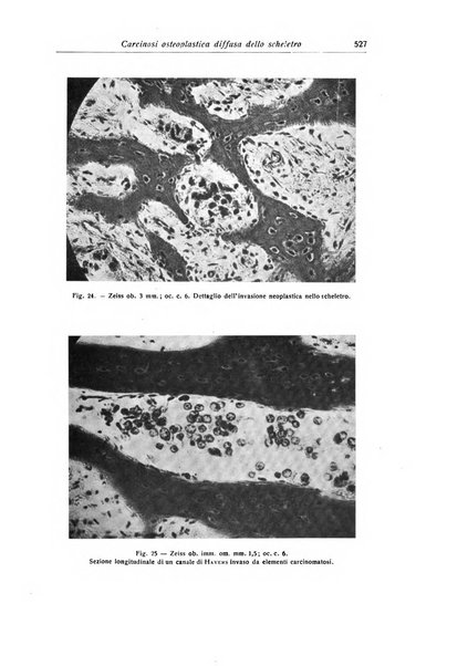 La chirurgia degli organi di movimento