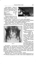 giornale/RML0015994/1929/unico/00000569