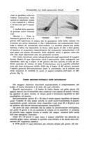 giornale/RML0015994/1929/unico/00000585