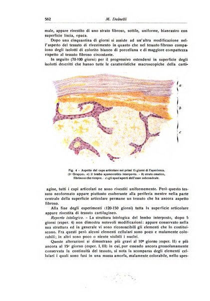 La chirurgia degli organi di movimento