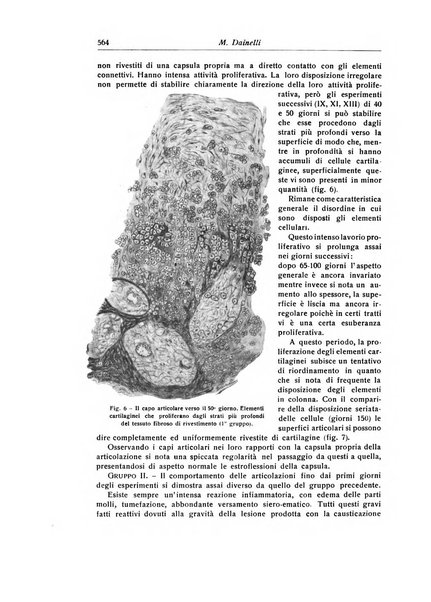 La chirurgia degli organi di movimento