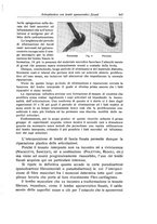 giornale/RML0015994/1929/unico/00000591