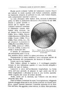 giornale/RML0015994/1929/unico/00000649