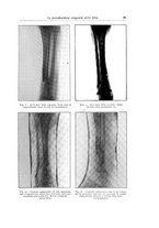 giornale/RML0015994/1930/unico/00000115