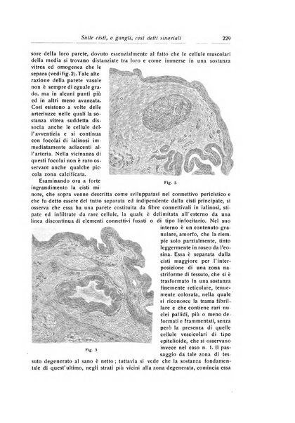 La chirurgia degli organi di movimento