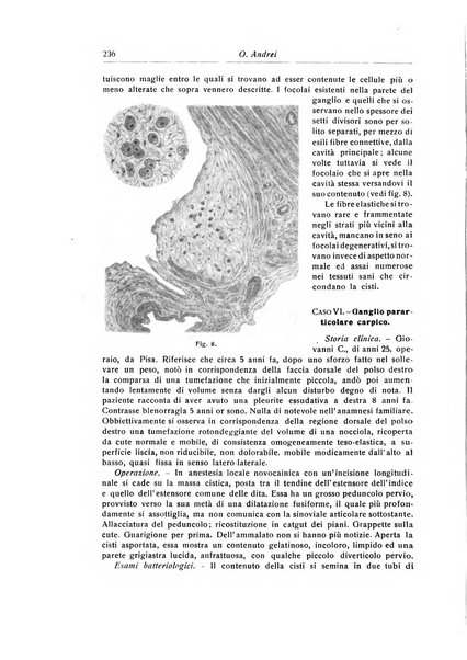 La chirurgia degli organi di movimento