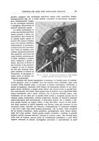 giornale/RML0015994/1931/unico/00000079