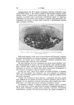 giornale/RML0015994/1931/unico/00000088