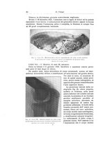 giornale/RML0015994/1931/unico/00000094