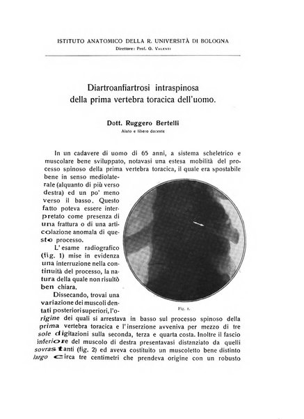 La chirurgia degli organi di movimento