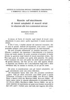 giornale/RML0015994/1931/unico/00000163