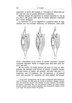 giornale/RML0015994/1931/unico/00000170