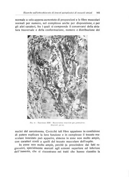 La chirurgia degli organi di movimento