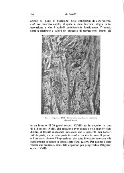 La chirurgia degli organi di movimento