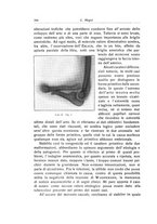 giornale/RML0015994/1931/unico/00000206