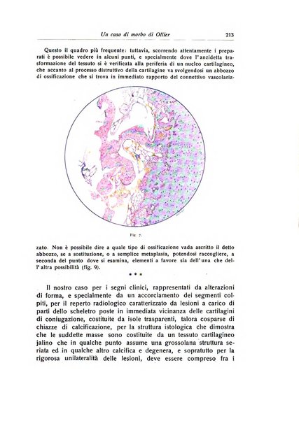 La chirurgia degli organi di movimento