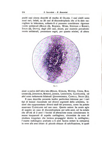 La chirurgia degli organi di movimento