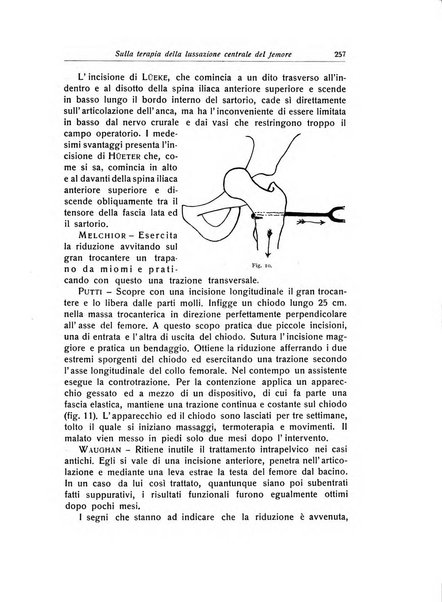 La chirurgia degli organi di movimento